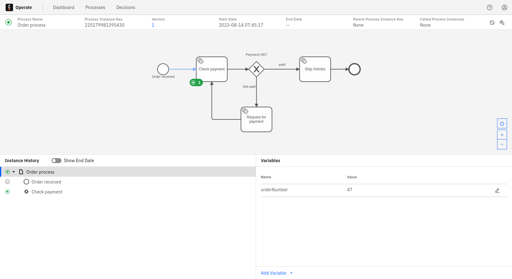 operate-view-instance-detail